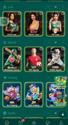 PK365 Game Playing Snapshot